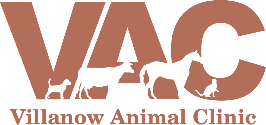 Villanow Animal Clinic